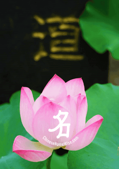 Rule / truth: Chinese Name Dao